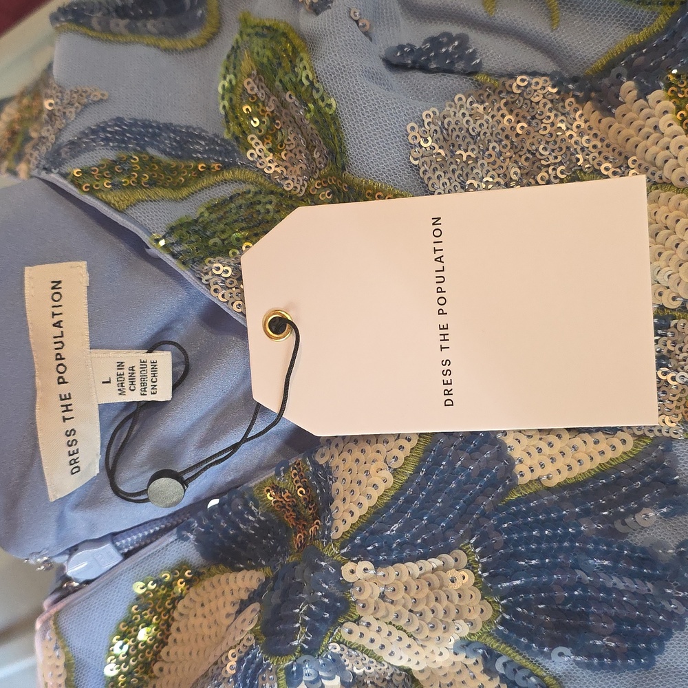 Dress the Population Light Blue Floral Maxi Dress - Picture 5 of 11
